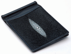 NB18 Card Holder with Money Clip